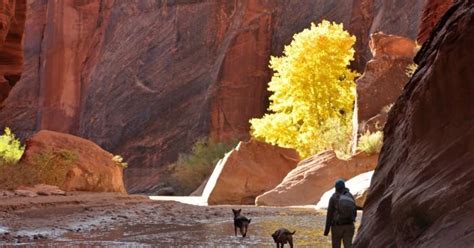 Flash floods rock northern Arizona slot canyons | Local News ...