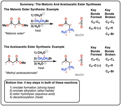 The Malonic Ester Synthesis — Master Organic Chemistry