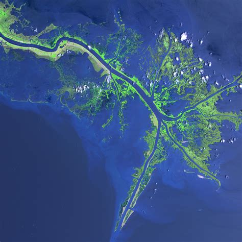 Mississippi River Delta : Image of the Day