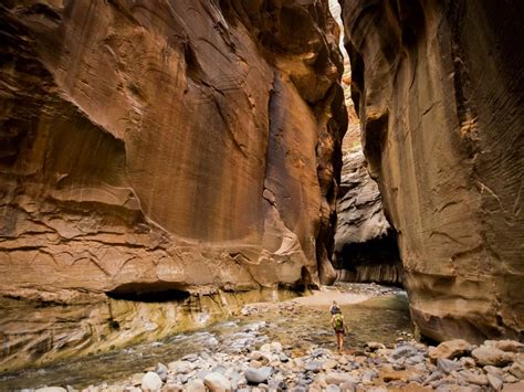 Zion Narrows Hike: Everything You Need to Know | Wildland Trekking Blog