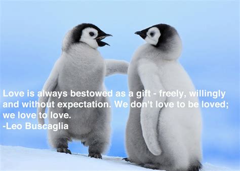 Penguin Love Quotes. QuotesGram