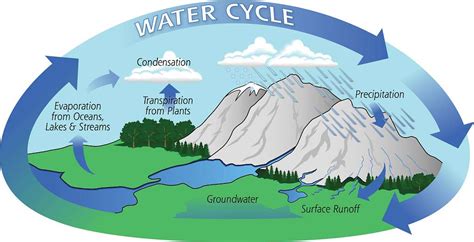 Diagram of the water cycle (Image courtesy of NASA) - PICRYL - Public ...