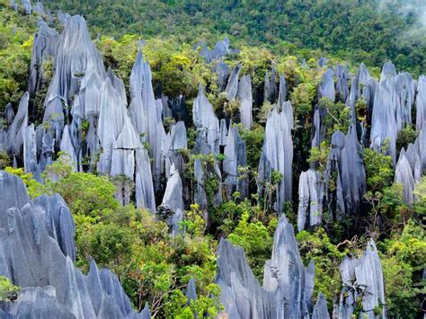 Gunung Mulu National Park - World Holiday Vibes Blog