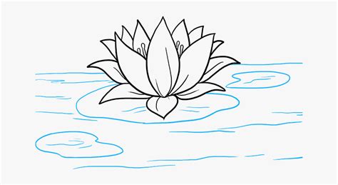 Pond Clipart Lotus Flower - Water Lily Drawing Easy, HD Png Download ...