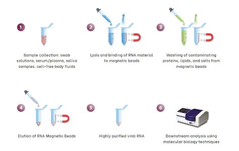 DNA/RNA Extraction Kits | Dedicated Browser for SARS-CoV-2 Research ...