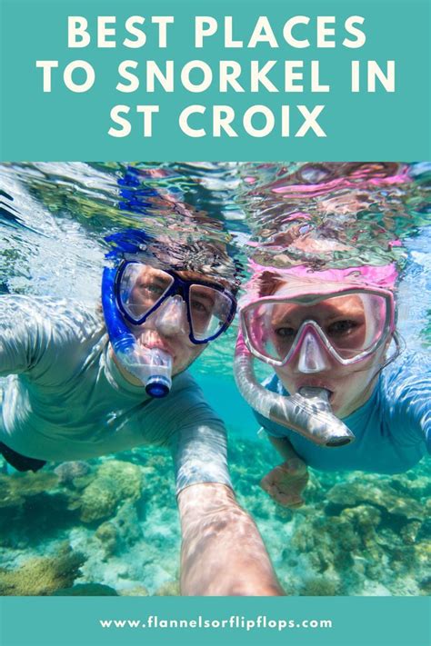 The Best Places to Snorkel in St Croix in 2022 | St. croix, Best ...