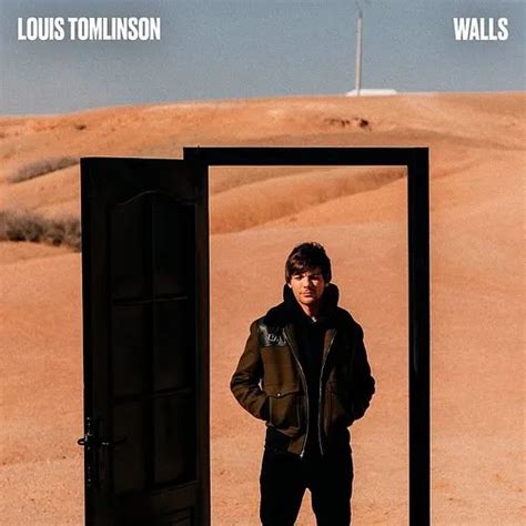 Louis Tomlinson - Walls - Single | Vintage Vinyl