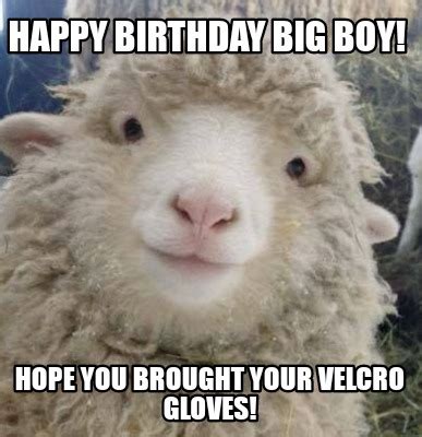 Happy Birthday Big Boy Meme Funny Birthday Pictures Sheep Meme – NBKomputer