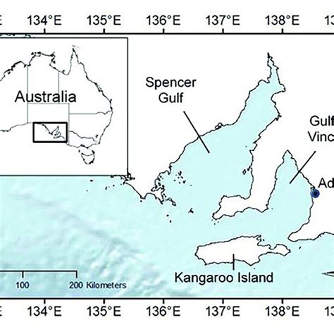 | Map of the study regions of Spencer Gulf and Gulf St Vincent located ...