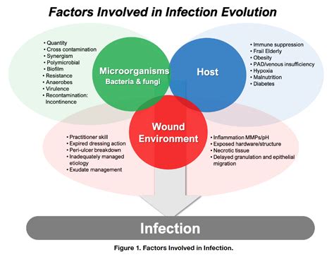 Wound Infection | Today's Wound Clinic