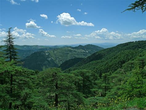 Atlas Mountains in Blida. : r/algeria