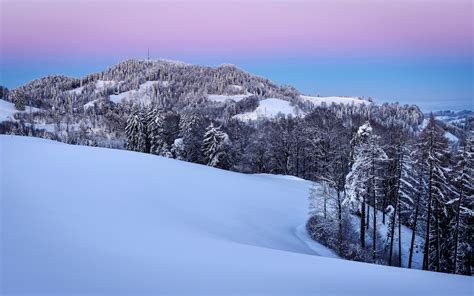 Free photo: Snowy Hills - Hills, Landscape, Mountain - Free Download ...