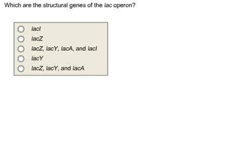 Solved Which are the structural genes of the lac operon? lac | Chegg.com