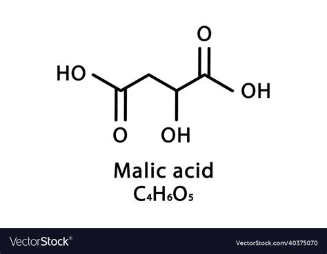 Malic acid molecular structure acid Royalty Free Vector