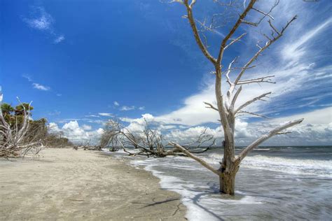 Exploring Botany Bay in South Carolina – History, Directions, and ...