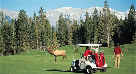 Banff Springs Golf Club - BC Golf Safaris