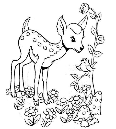 free-animals- gazelle printable-coloring-pages-for-preschool Forest ...