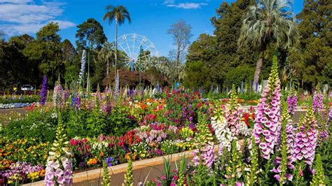 Toowoomba Carnival of Flowers 2021, Brisbane