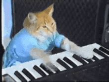 Cat Piano GIFs | Tenor