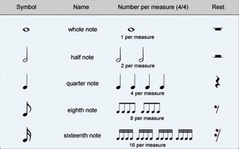 A Basic Guide To Musical Notation | Basic music theory, Music theory ...