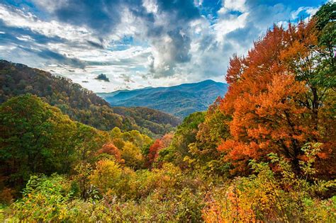 Fall Colors - Blue Ridge Parkway (U.S. National Park Service)