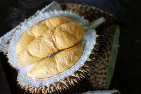 Foto : 6 Manfaat Buah Durian Mulai dari Akar Pohon Sampai Bijinya