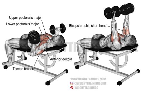 Incline reverse-grip dumbbell bench press exercise instructions and video