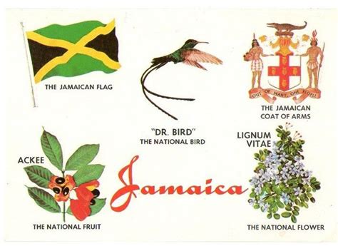 National Symbols of Jamaica - The Jamaican Symbols and Emblems ...