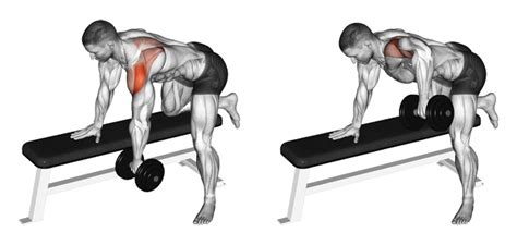 The One Arm Dumbbell Row: A Simple And Effective Upper Back Builder