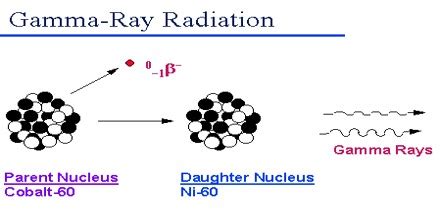 About Gamma Radiation - Assignment Point