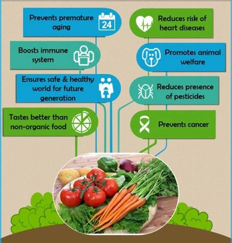 Health Benefits and Importance of Organic Food - Metromedi Blog