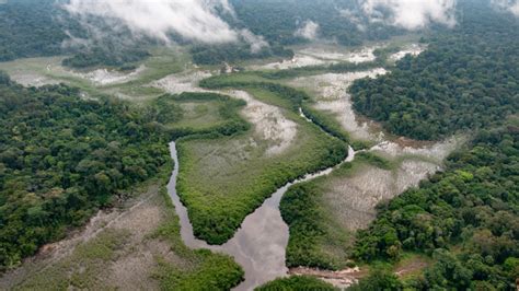 Deforestation in the Congo Rainforest (Central Africa) - map, statistics