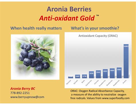 Aronia Berries Antioxidant Gold