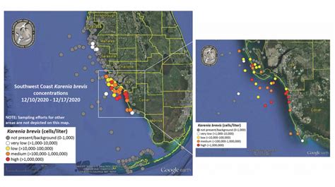 FWC reports return of red tide | Boca Beacon