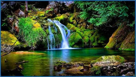 Background Screensavers - Computer Wallpaper Screen Saver Nature (56 ...