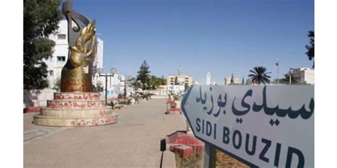 État des résultats préliminaires de Regueb et Sidi Bouzid-Est