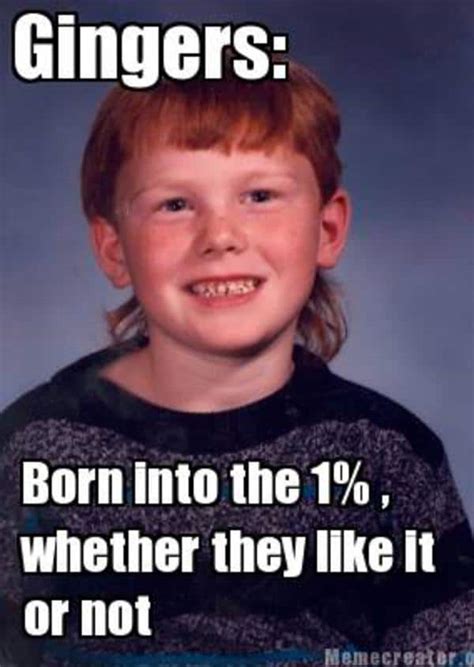 30 Ginger Memes That Are Way Too Witty - SayingImages.com