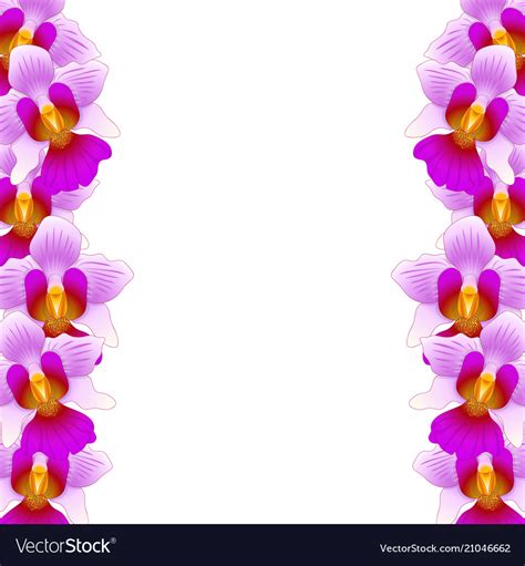 orchid border clipart 10 free Cliparts | Download images on Clipground 2024