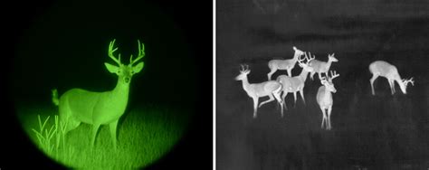 What are Digital Day/Night Optics vs. Thermal Imaging Cameras?