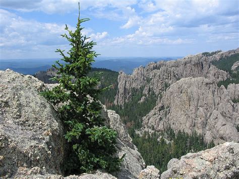 15 Best Custer State Park Hiking Trails (Short & Scenic!)