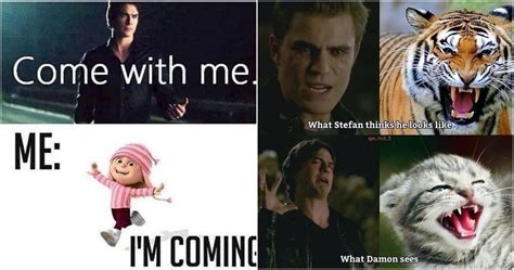 The Vampire Diaries: 10 Hilarious Damon Memes That Only True Fans Will ...