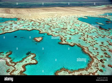 Heart Reef, Great Barrier Reef, Australia Stock Photo - Alamy