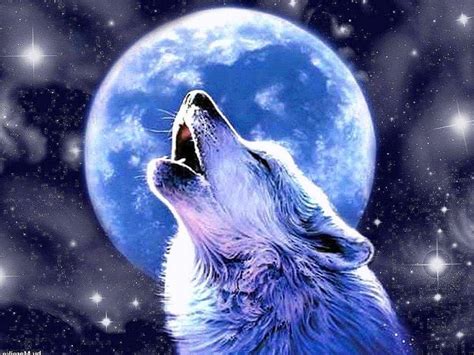 Wolf Howling At The Moon Wallpapers free download