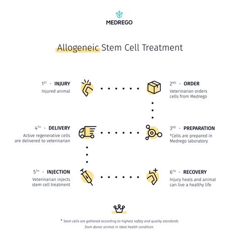 Autologous vs Allogeneic Stem Cell Therapy For Animals