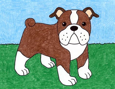 How To Draw A Bulldog » Summeractor