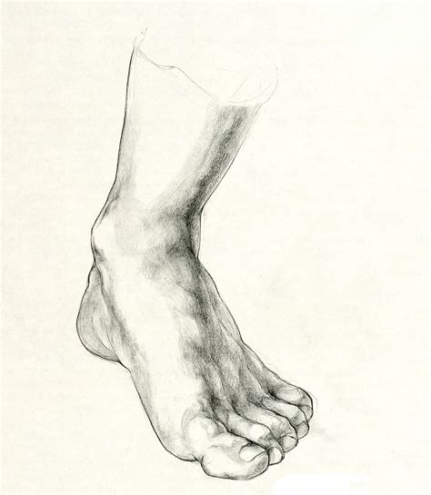 Feet drawing, Realistic drawings, Life drawing