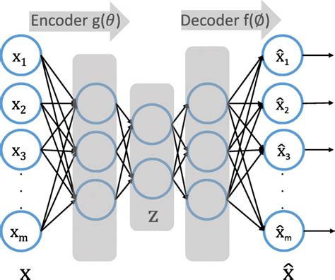 Autoencoder neural network architecture | Download Scientific Diagram