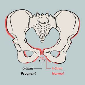 Abdominal and Pelvic Pain During Pregnancy | Abdominal and pelvic pain ...