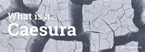 Caesura - What is a Caesura? - English Literature Glossary