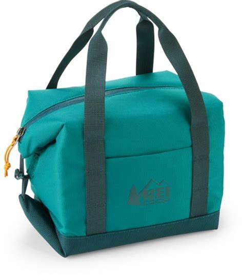 Stylish Insulated Cooler Bags for Summer | Kitchn